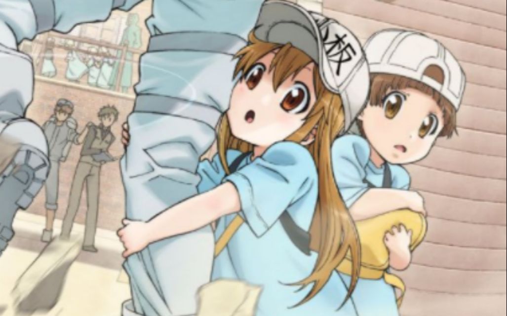 提前看工作细胞第五集肥大细胞真的可爱日本的国民病来袭细胞们该何去