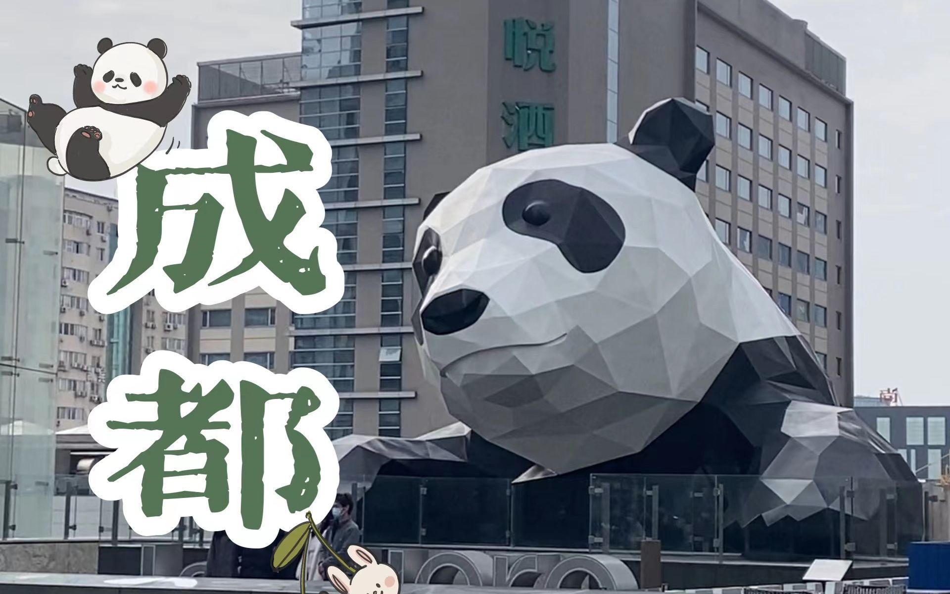 春熙ifs丨太古里丨熊猫基地丨老火锅丨鹤鸣茶社