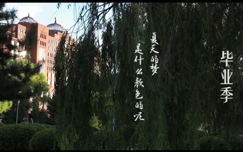 [图]毕业季《此去繁花似锦 相逢依旧如故》