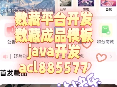 数藏平台开发,数藏源码搭建java哔哩哔哩bilibili