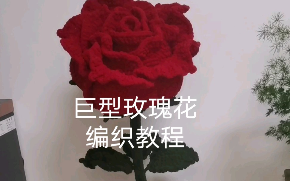 [图]巨型玫瑰花编织教程