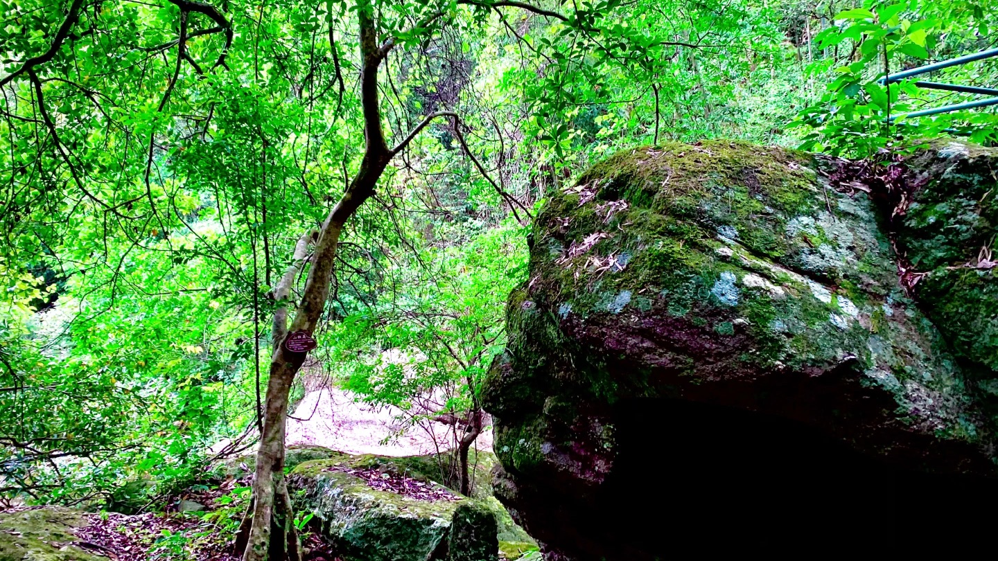 [图]【莆田仙游县菜溪岩】青山绿水好风景