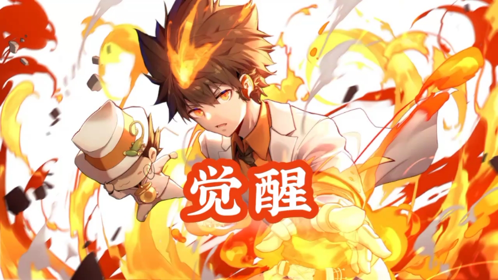 【家庭教师hitman reborn bgm】觉醒/ツナ覚醒