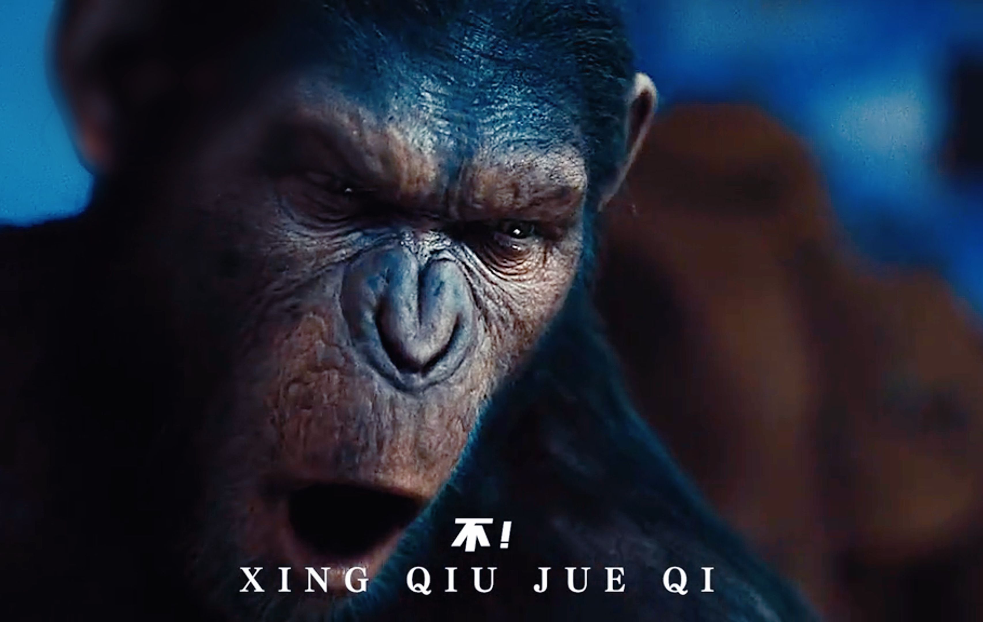 “当凯撒喊出那句NO时，我已毛骨悚然！”——高分经典《猩球崛起》