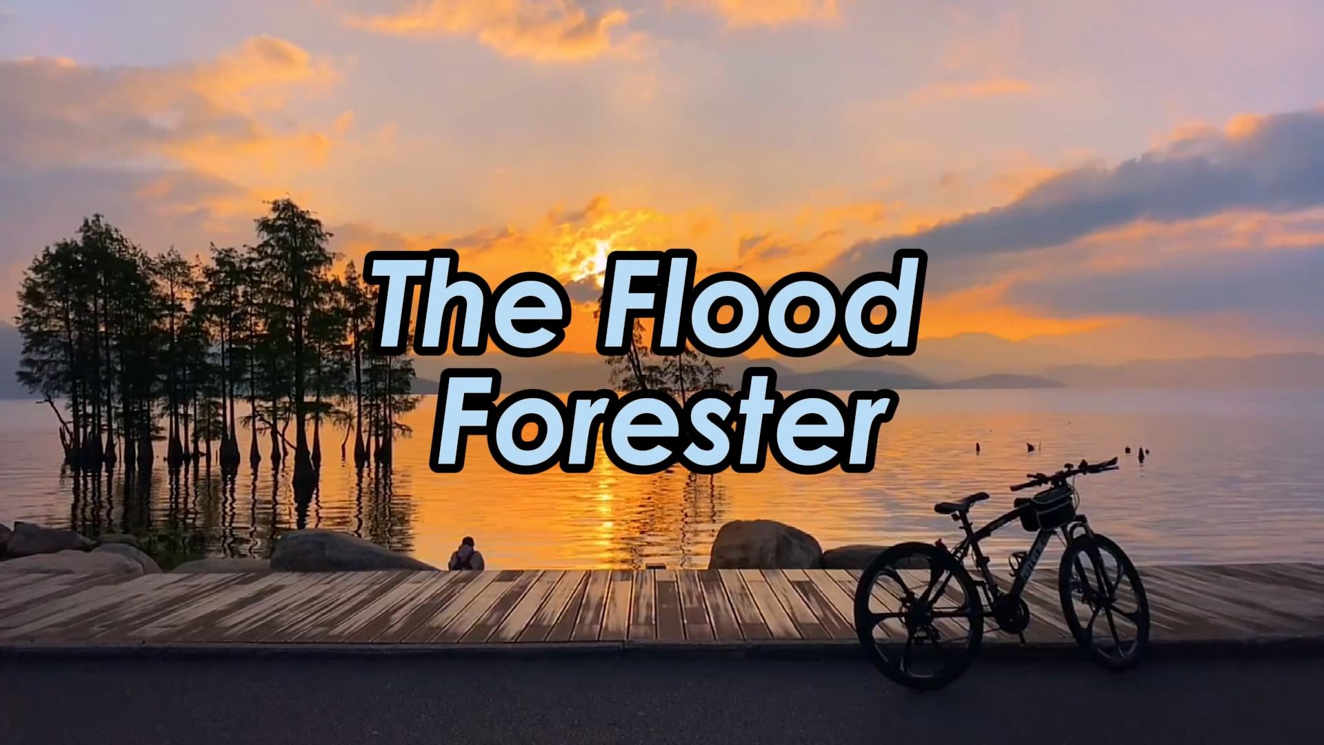 【无损】 日推 看我发现的宝藏歌曲 听听你就会爱上他《the flood