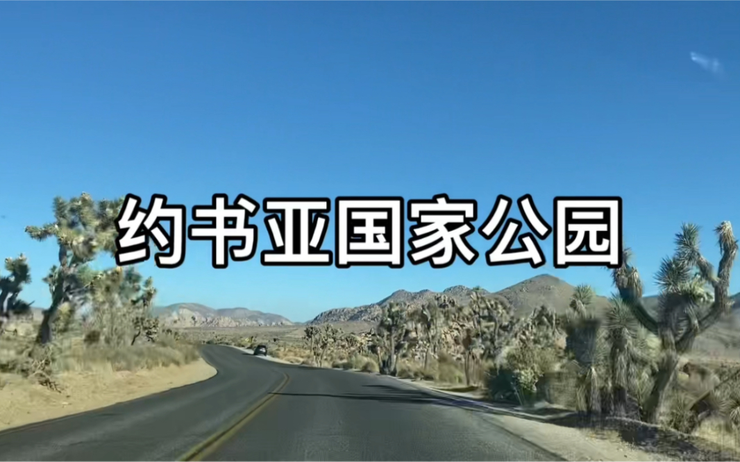 [图]约书亚国家公园｜Joshua Tree｜沙漠历险记