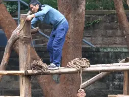 Скачать видео: 馆长和外公一天也是操碎了心 下午渝爱把绳子绕脑壳上，外公和馆长马上又来修修补补