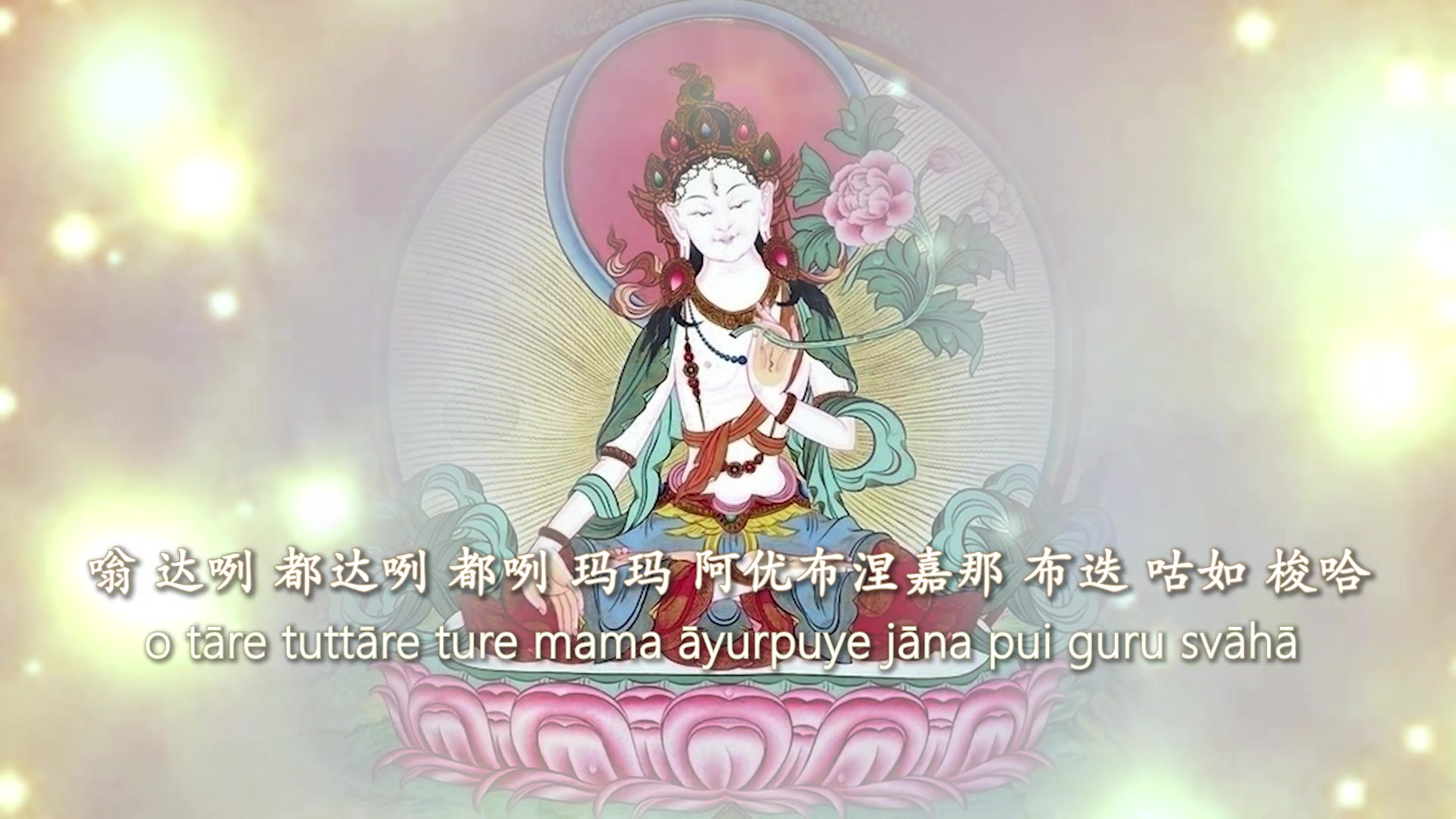 白度母心咒 mantra of white tara 圣救度佛母 360th