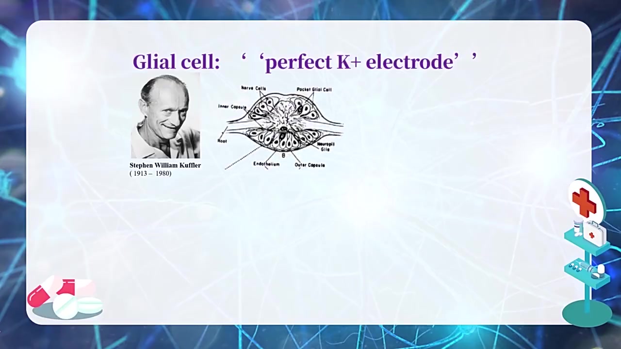 神经科学哔哩哔哩bilibili