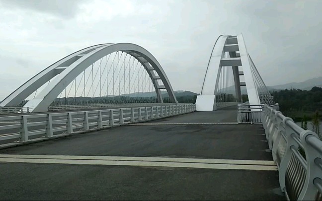 九江市芳兰湖大桥-九江市濂溪区-大桥路虞家河乡中心小学支部委员会