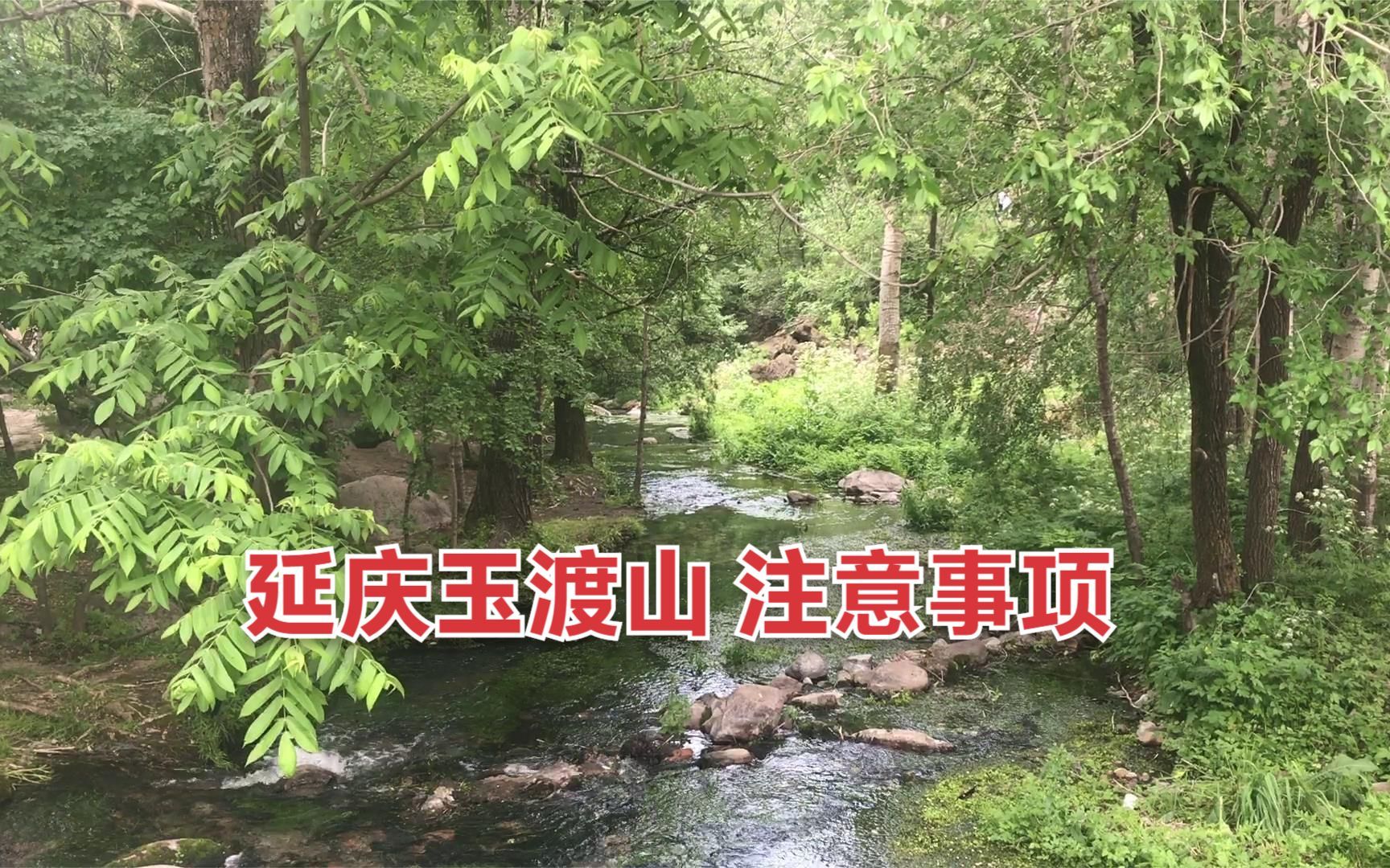 去玉渡山风景区前 您需要知道的哔哩哔哩bilibili