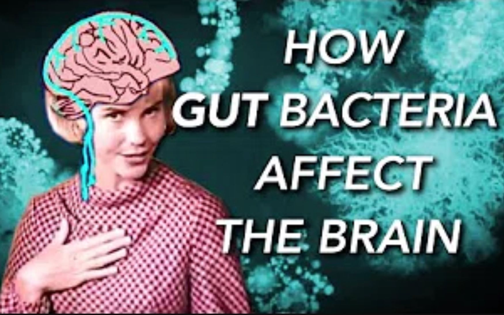 [图]【What I've Learned】双语·肠道菌群如何影响大脑 How Gut Bacteria Affect The Brain