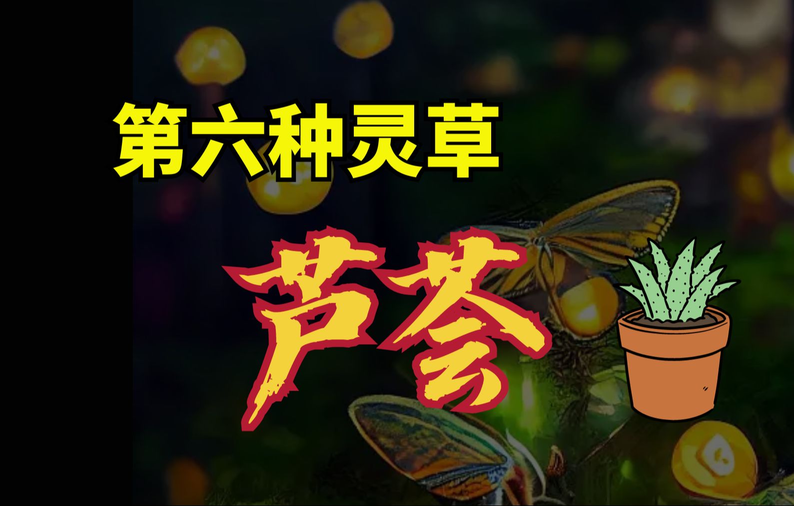 天涯神贴:第6种灵草芦荟哔哩哔哩bilibili