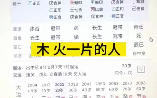 八字木火一片的人哔哩哔哩bilibili