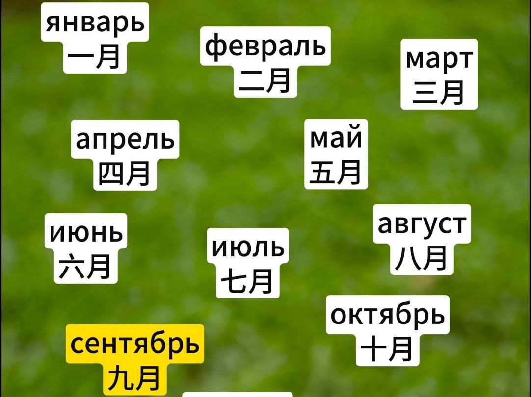 把自己当成俄罗斯人记俄语单词|月份篇哔哩哔哩bilibili