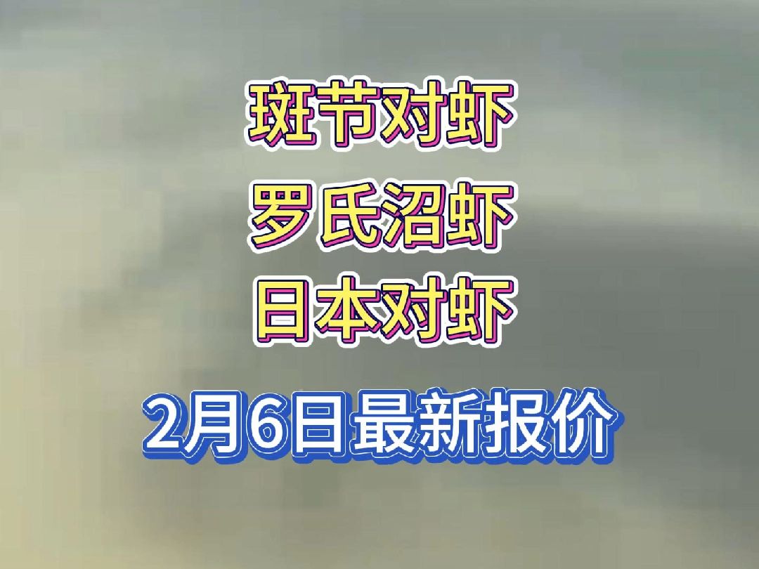 惊喜!春节临近,多地虾价上涨!2月6日最新虾价!哔哩哔哩bilibili