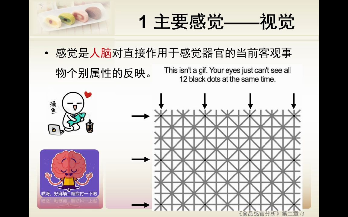 20220227 食品感官分析 第二章 视觉1 原理及色彩属性哔哩哔哩bilibili