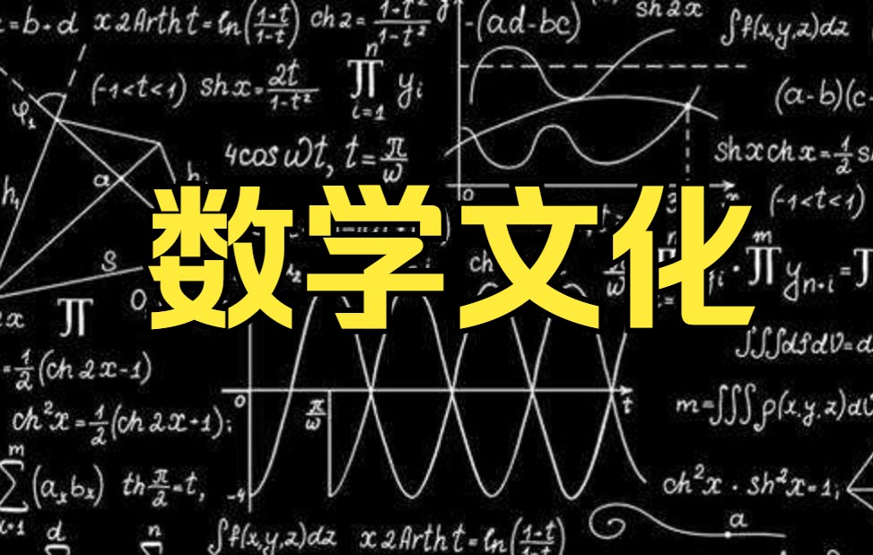 【数学文化】南开大学顾沛国家级精品课全34课哔哩哔哩bilibili