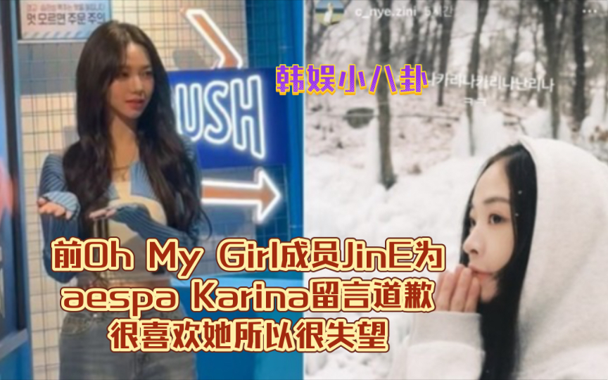 [图]前Oh My Girl成员JinE为aespa Karina留言道歉！很喜欢她所以很失望