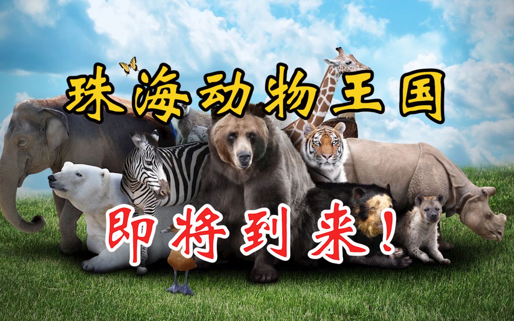 珠海动物王国即将诞生!