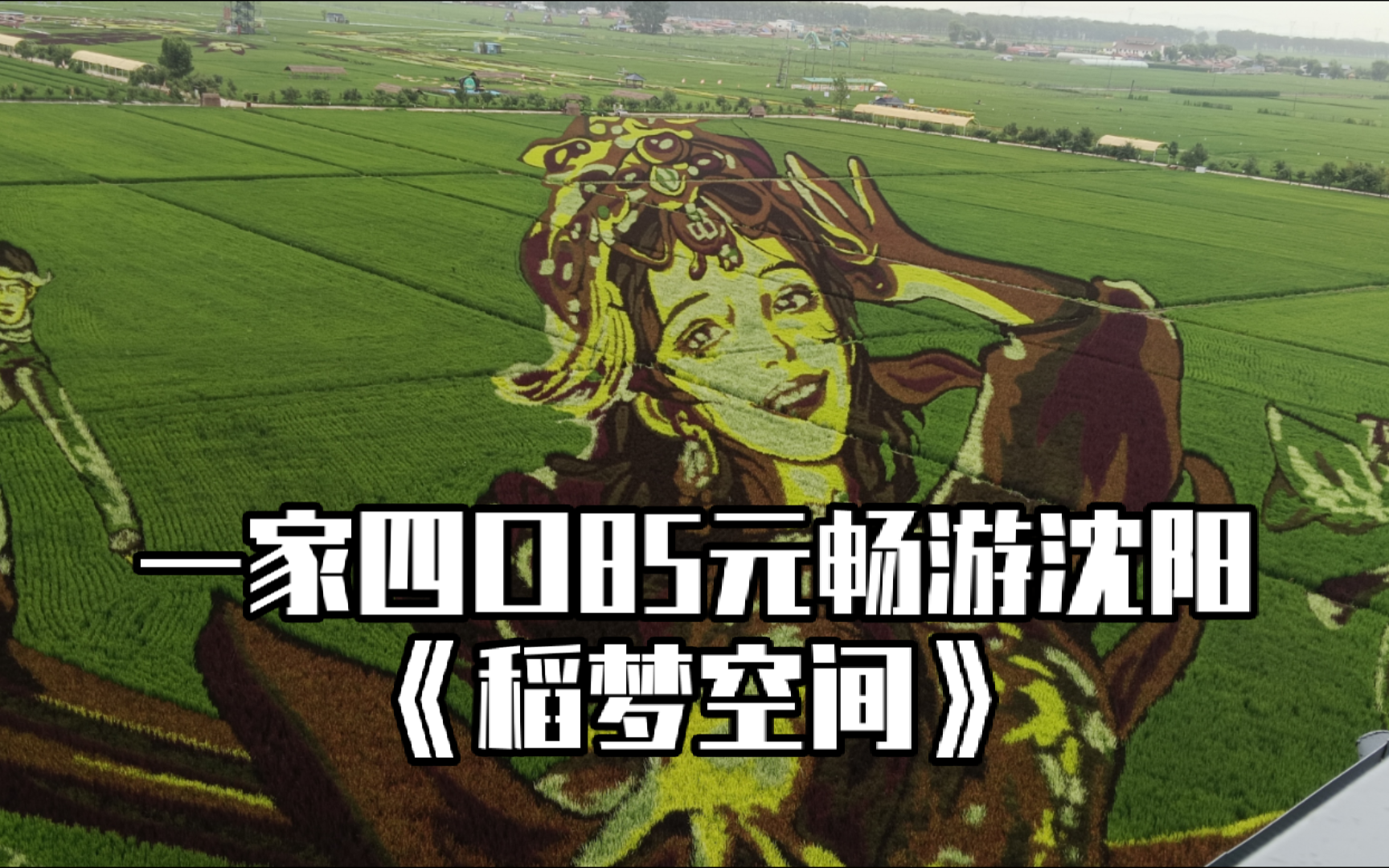 一家四口85元畅游沈阳《稻梦空间》