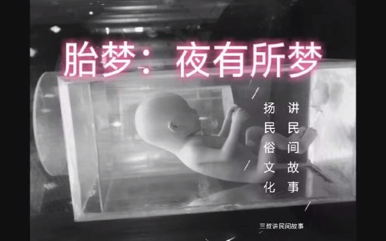 《民间故事》胎梦:夜有所梦哔哩哔哩bilibili