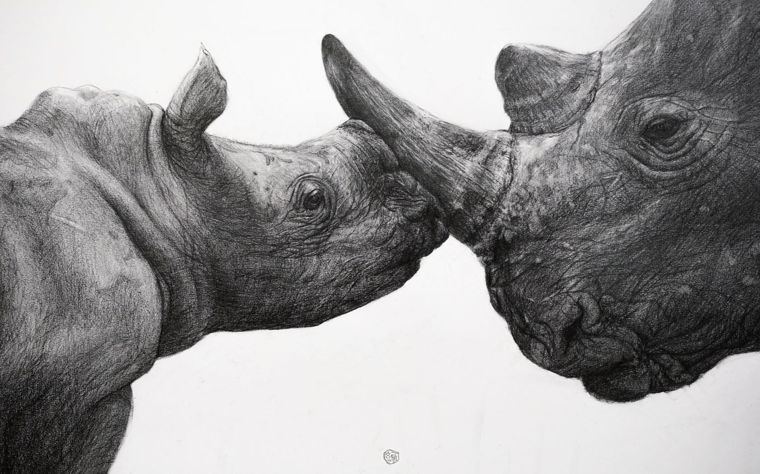 【画儿】素描-犀牛母子,我是绘画区视频剪辑最好的up主吗?
