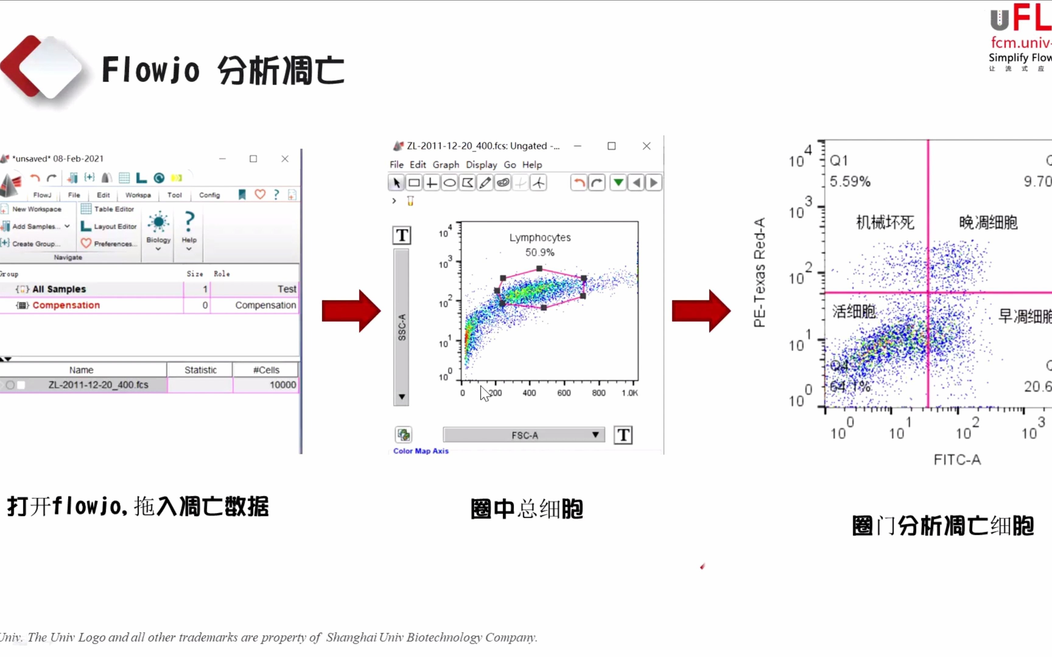 【流式集训营】Flowjo分析细胞功能实验数据哔哩哔哩bilibili