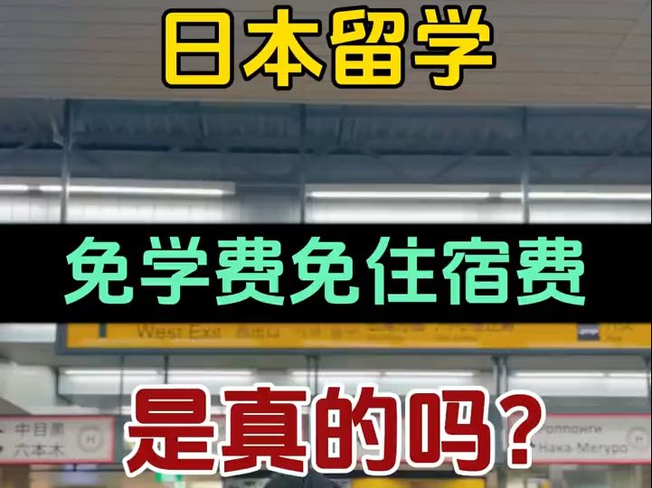 日本留学免学费免住宿费是真的吗?哔哩哔哩bilibili