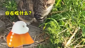 【光遇】平菇回村戏大鹅