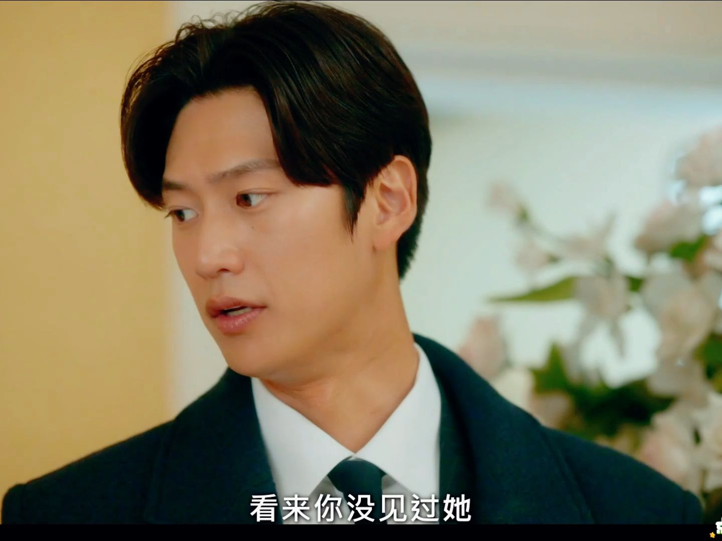 请和我的老公结婚 (2024) 11-14(1)