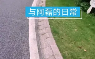 Download Video: 与阿磊的日常：为了感谢阿磊给我送东西，我准备带他去荡秋千