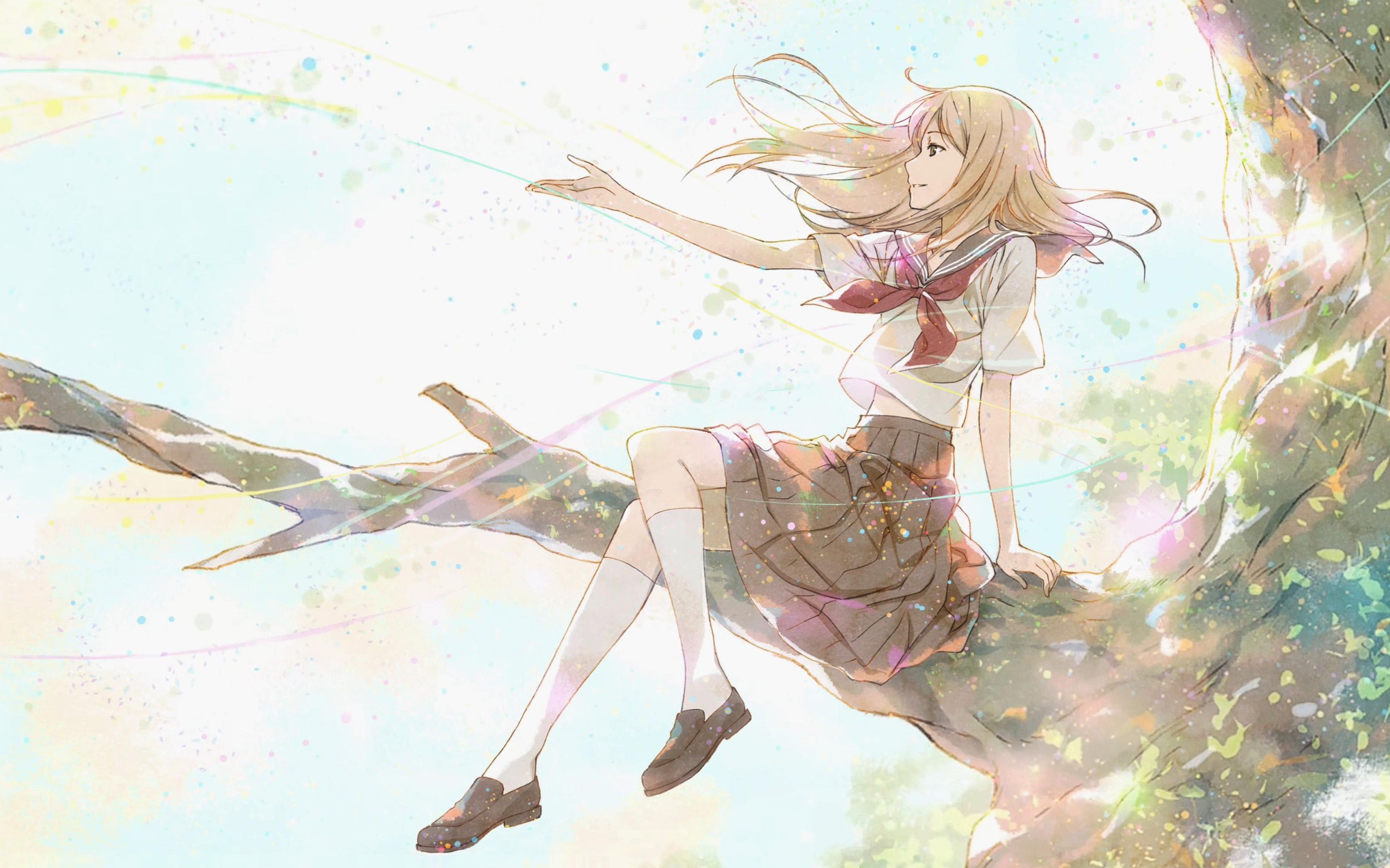 ed发呆专用夏目16季ed