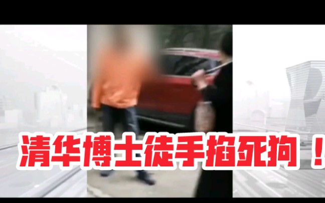 [图]因深夜狗叫声扰民，清华博士当街打死流浪狗，回应称：纯属不小心