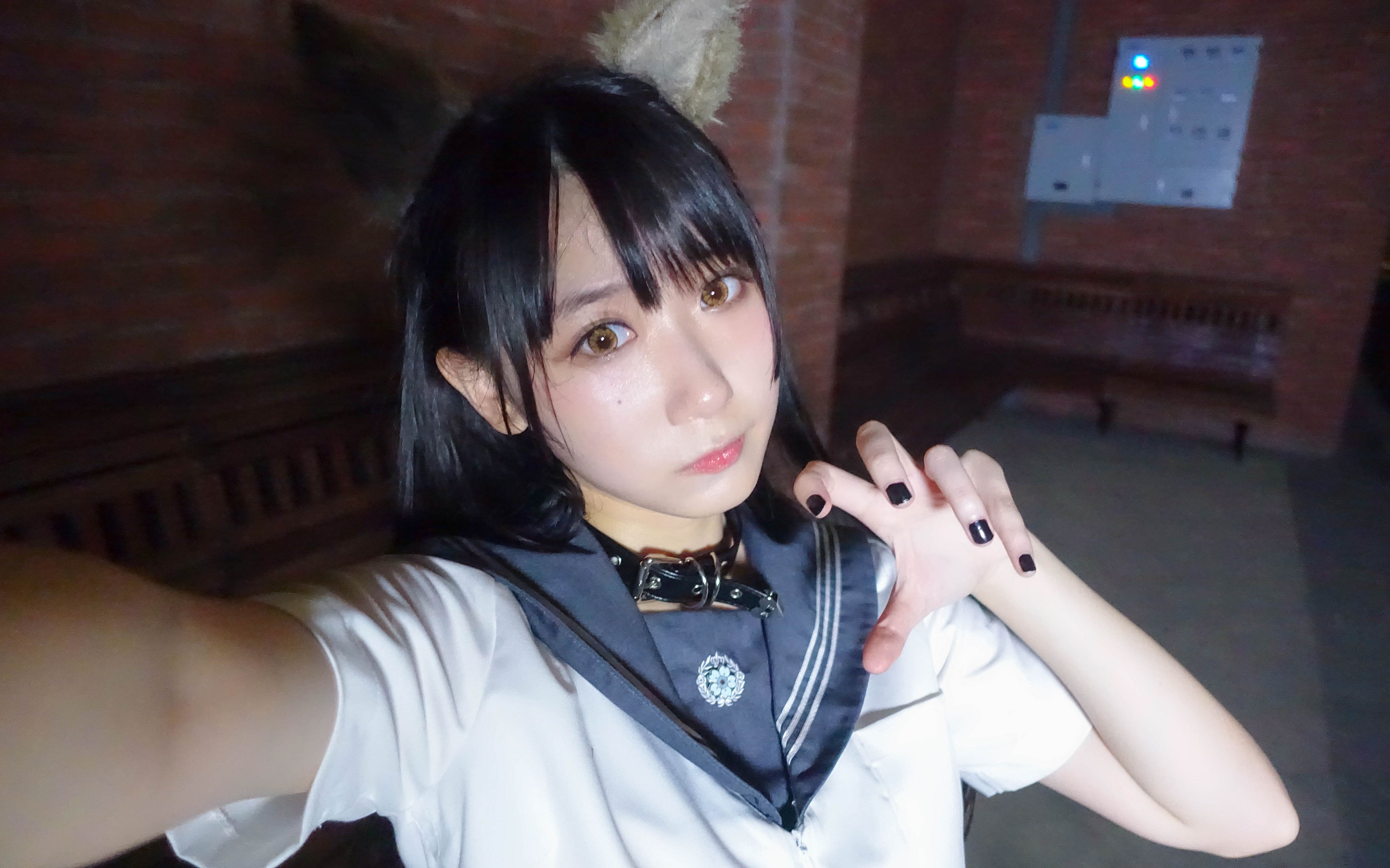 【波喵】beast dance嗷嗷嗷!