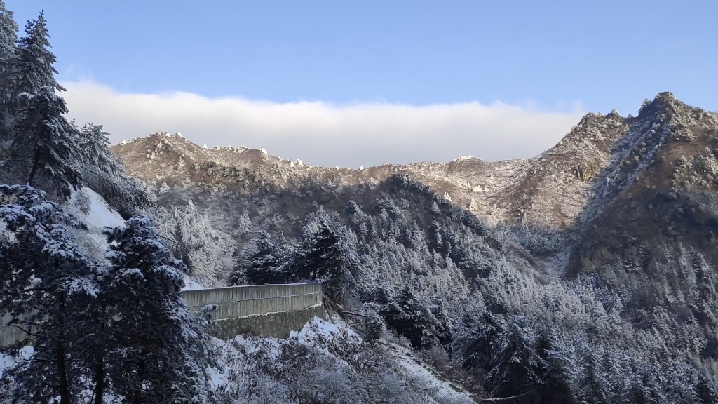 [图]他说他的心比雪更纯洁