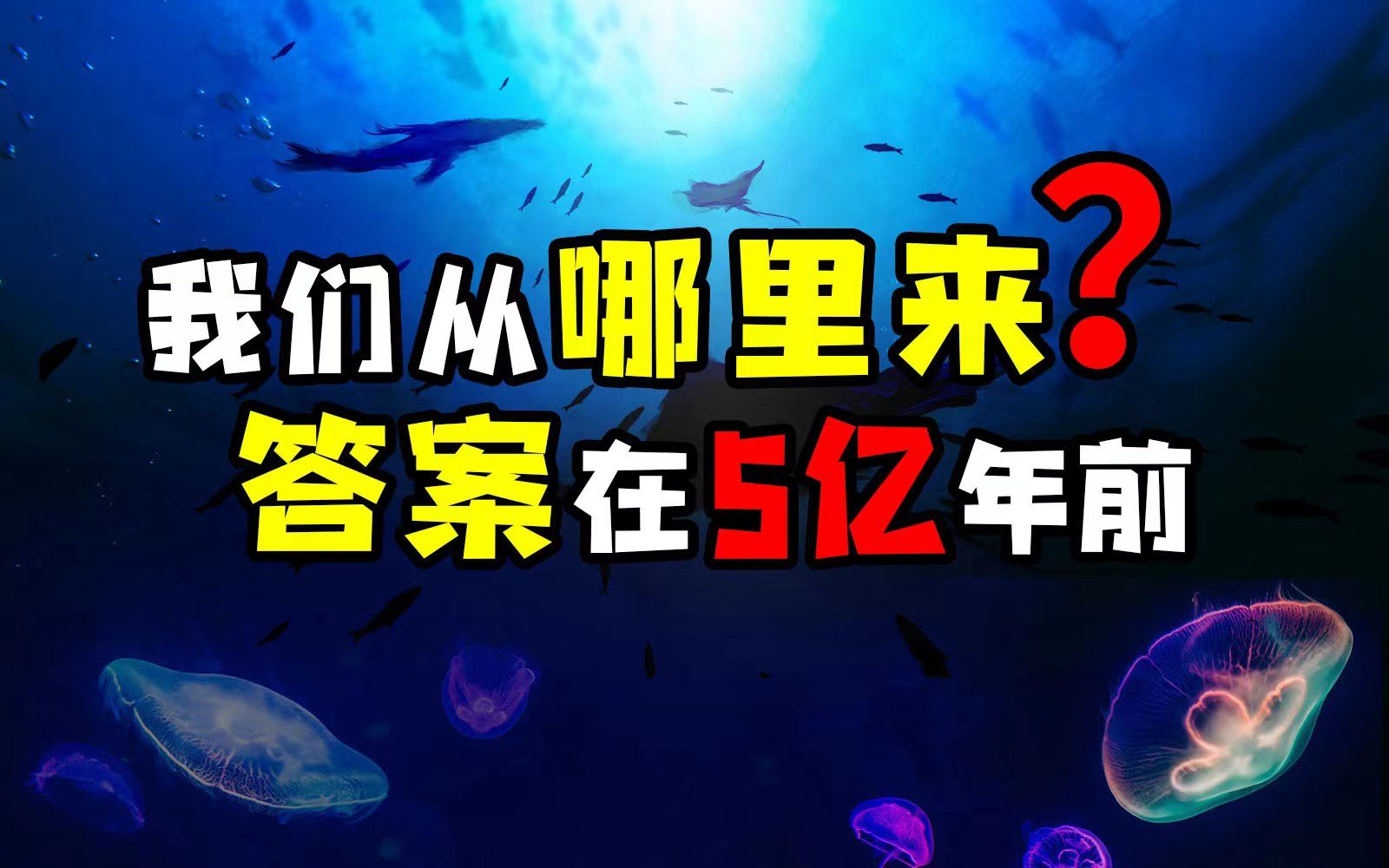 史诗科普来袭!5亿年前的生命演化和人类由来,院士和8位古生物学家为你揭秘!哔哩哔哩bilibili