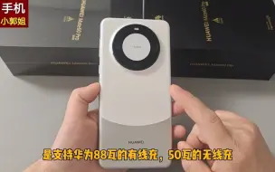 Download Video: 手机小郭姐-华为Mate60pro1TB，亏了几百，5000大电池+88W闪充，100倍变焦值 华为mate60pro 回收置换二手手机