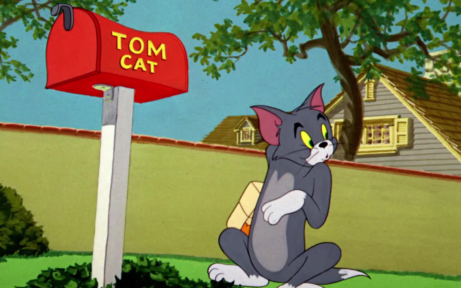 【猫和老鼠】小说风波 Life with Tom（1953）