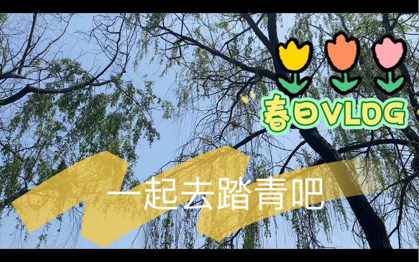 云 踏 春—中南大学新校本部哔哩哔哩bilibili