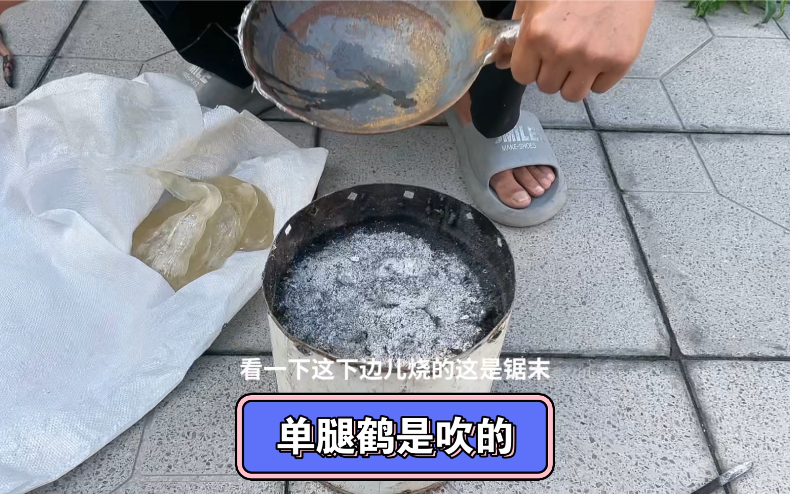 单腿鹤是吹的哔哩哔哩bilibili