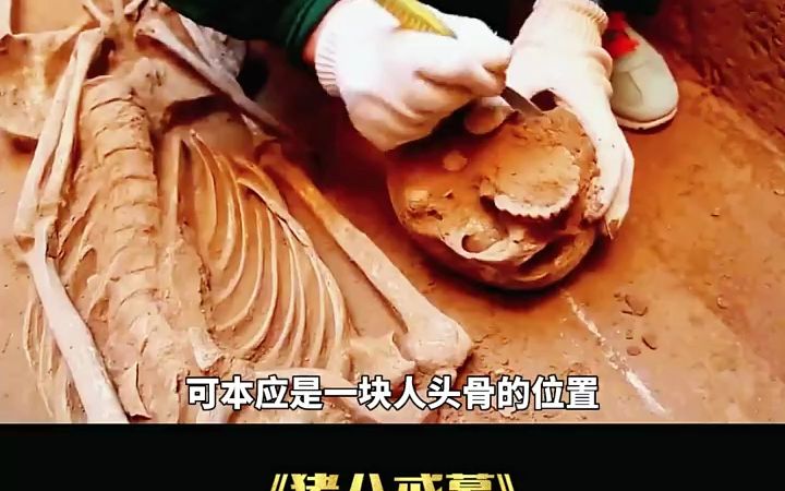 你见过猪八戒墓吗?