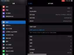 Download Video: 苹果直营店换新iPad全流程，还有一个月ac到期