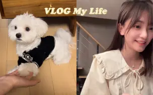 Download Video: vlog | 大学老师第一次家访 | 班主任线上听课 | 居家版椰子鸡 |