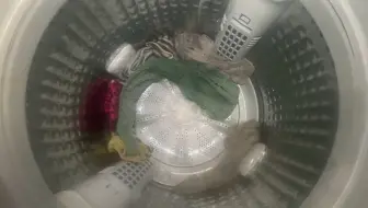 今天又是一期海尔洗衣机的工作过程