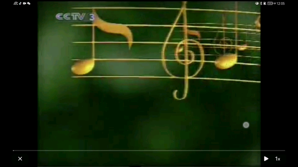 [图]2003年cctv3（国乐飘香）片头