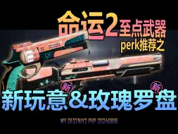 Video herunterladen: 命运2 二至点武器perk推荐之新玩意&玫瑰罗盘