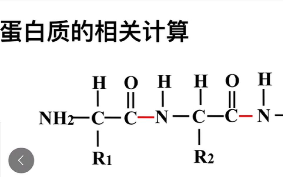 蛋白质的有关计算哔哩哔哩bilibili