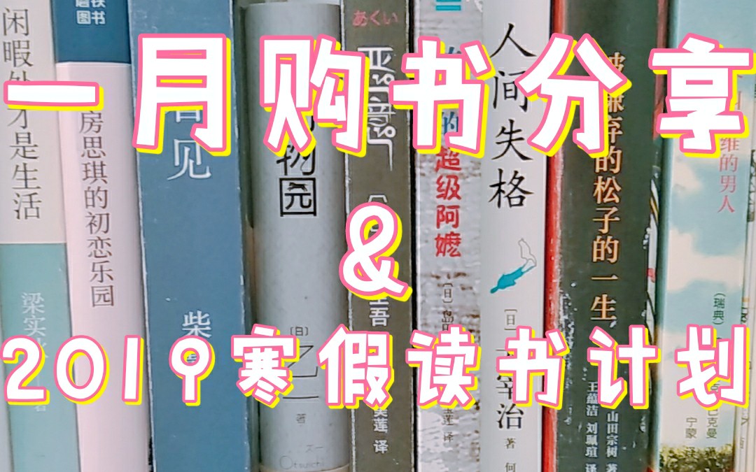 一月购书分享/2019寒假读书计划哔哩哔哩bilibili