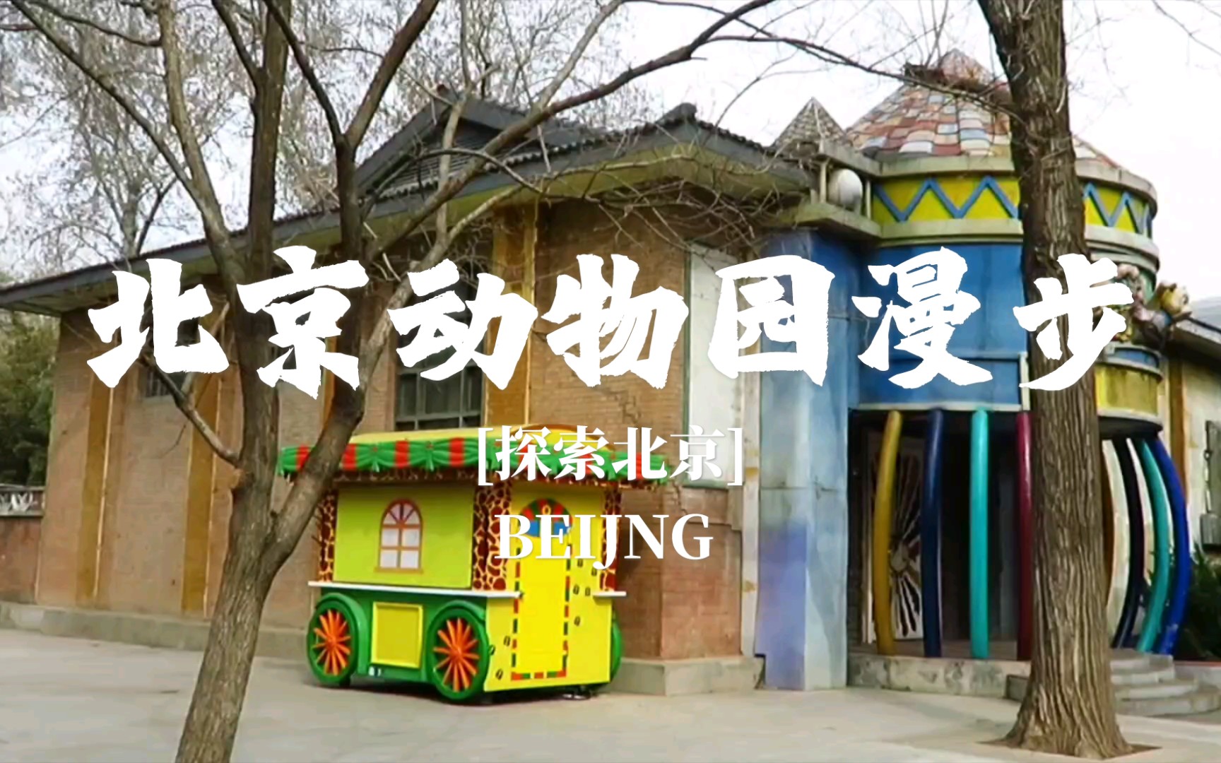 [探索北京]北京动物园漫步,满满的都是儿时回忆(原声)